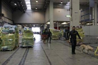 A Malpensa sbarca la cocaina nera A Malpensa sbarca la cocaina nera